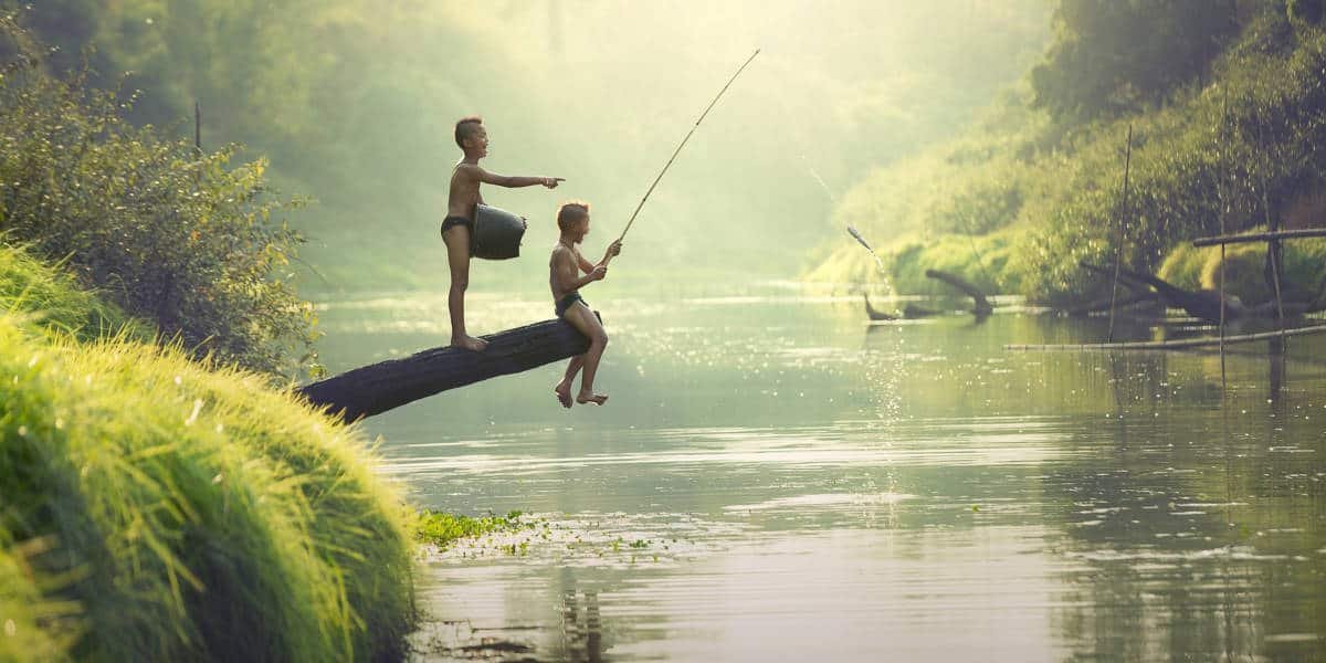 Cách làm mồi câu cá thật bén Farmvina Nông Nghiệp