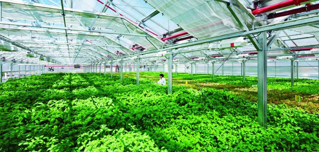 Nông nghiệp công nghệ cao là gì Farmvina Nông Nghiệp