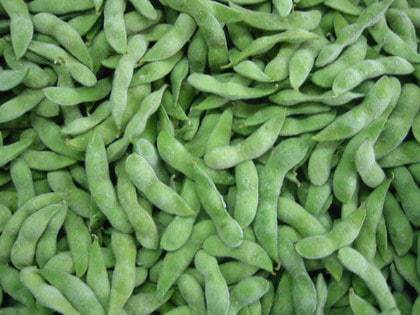 kinh nghiệm trồng đậu tương