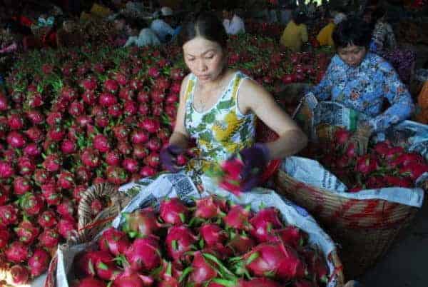 rau quả nhiễm khuẩn