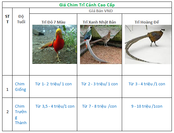 Trại Thanh Phong- Mr Phong 0917.10 99.10 chuyên cung cấp các loại chim trĩ,  chim công, gà đông tảo, gà đen indo, vịt uyên ương..