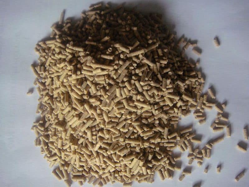 thức ăn nuôi heo