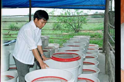 chuồng trại nuôi dế