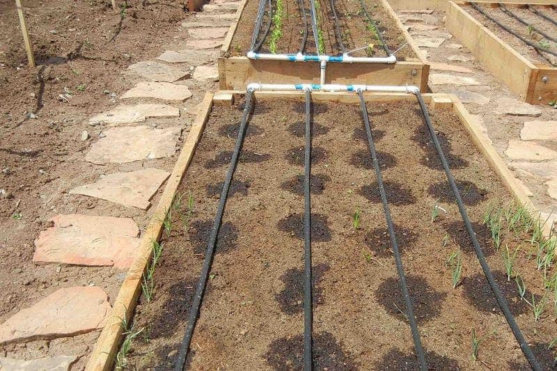 hệ thống tưới nhỏ giọt