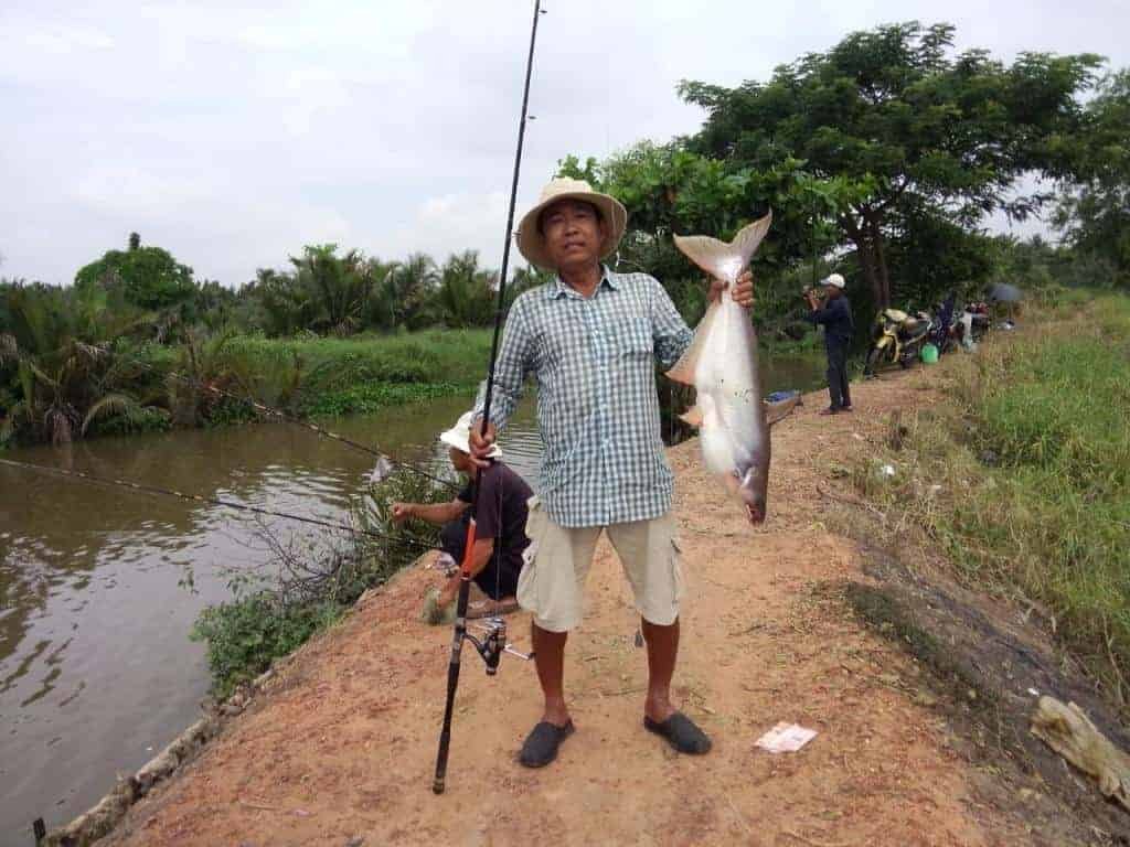 Cháo tinh sầu riêng câu cá tra