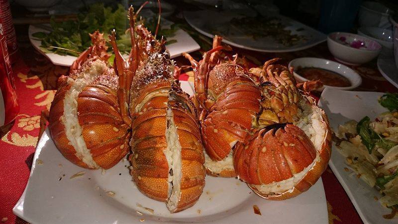 các loại tôm hùm