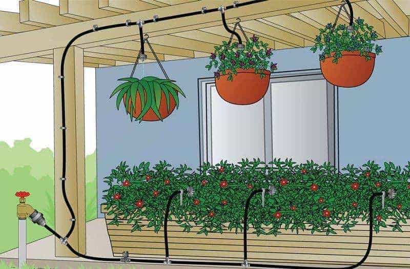 hệ thống tưới nước nhỏ giọt