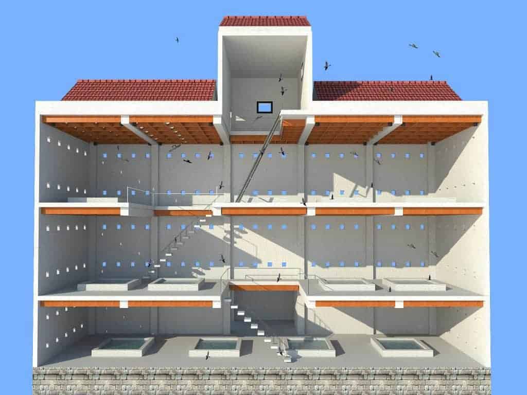 nhà nuôi chim yến