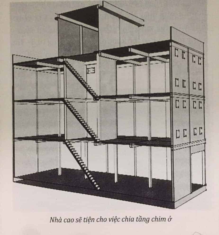 nhà nuôi chim yến