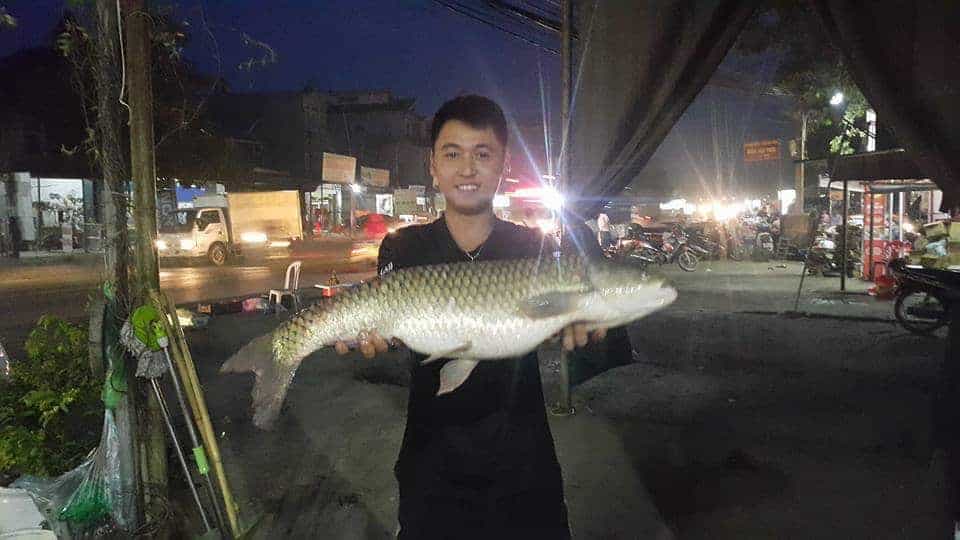 câu cá trắm cỏ