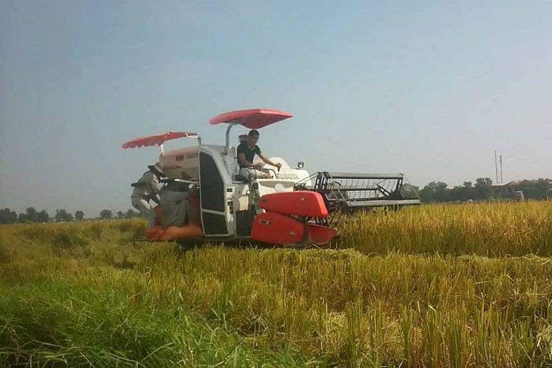 máy gặt đập liên hợp Kubota