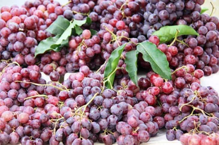 trái cây trung quốc