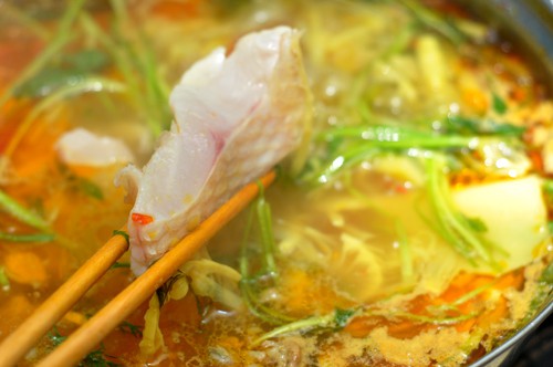 lẩu cá diêu hồng
