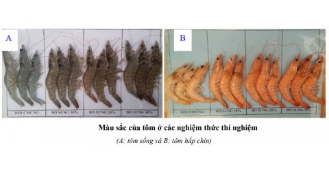 nuôi tôm thẻ chân trắng tiết kiệm