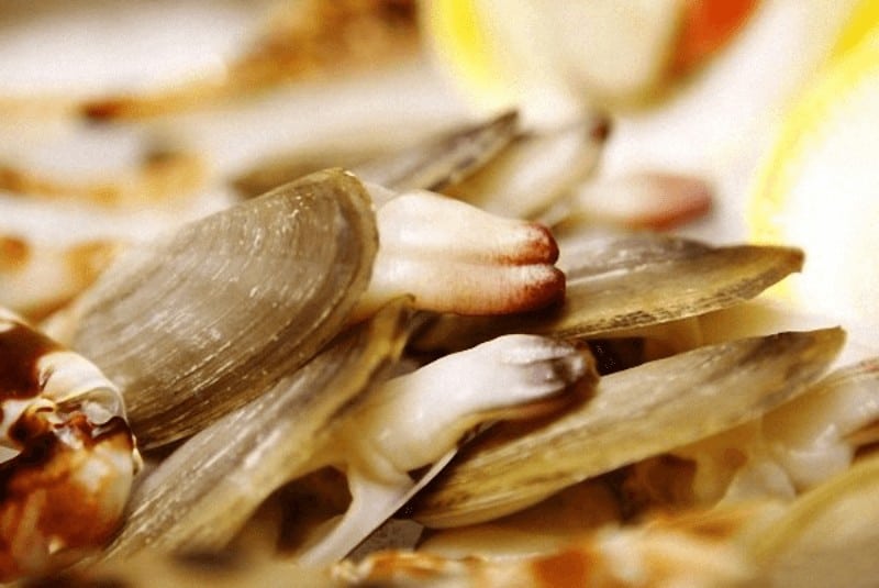 nuôi tu hài thương phẩm