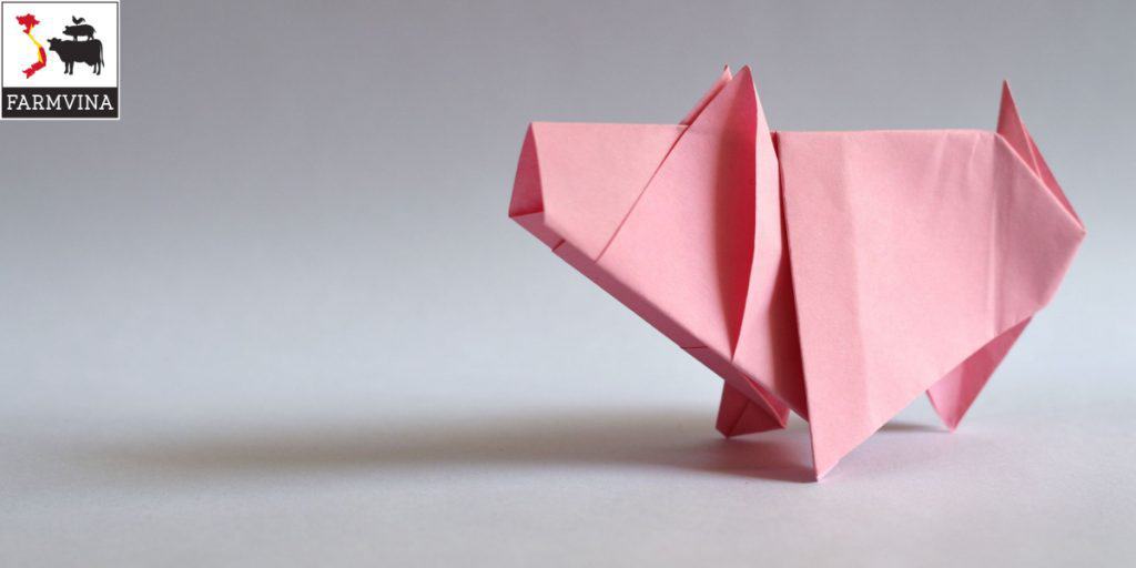 nuôi heo công nghiệp