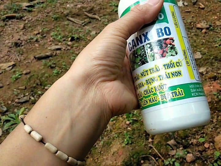 thuốc chống rụng quả