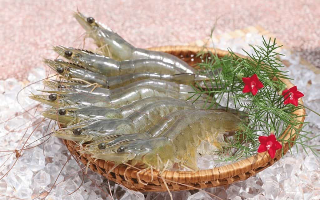 tôm thẻ chân trắng
