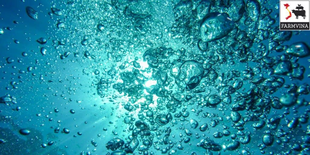 điều chỉnh độ pH