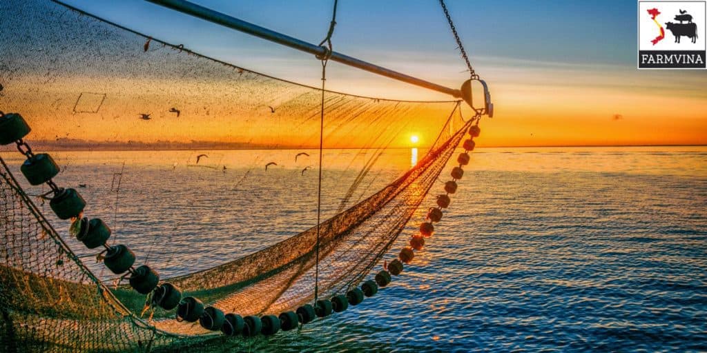 điều chỉnh độ kiềm