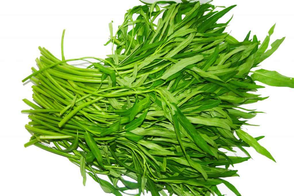 rau muống