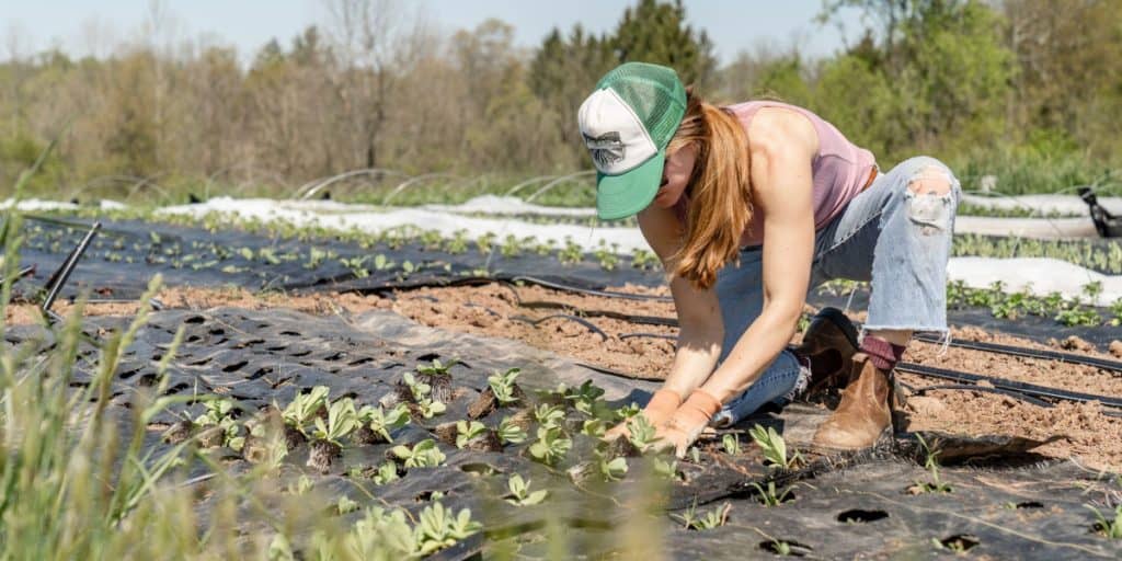 Thuốc trừ sâu sinh học