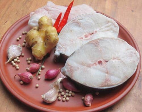 thịt cá bớp