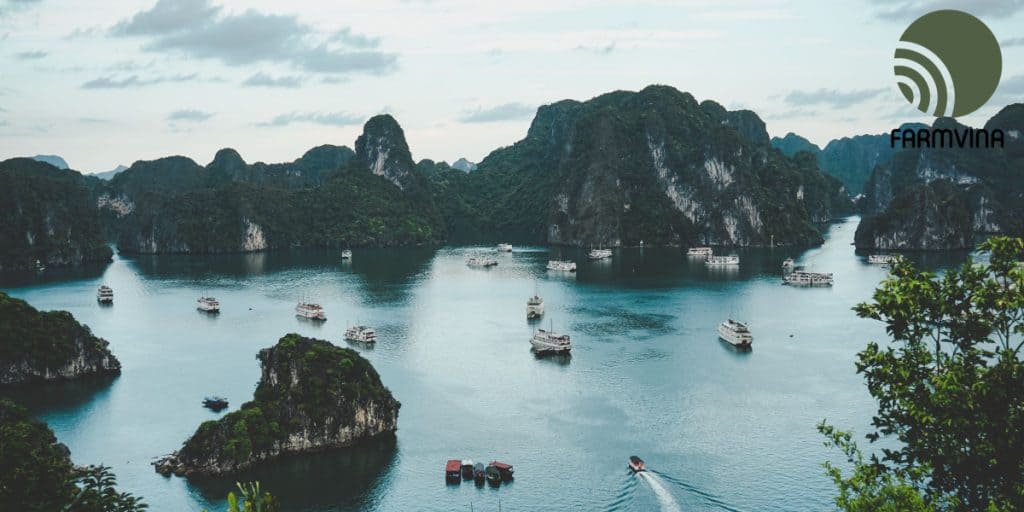 khí hậu việt nam