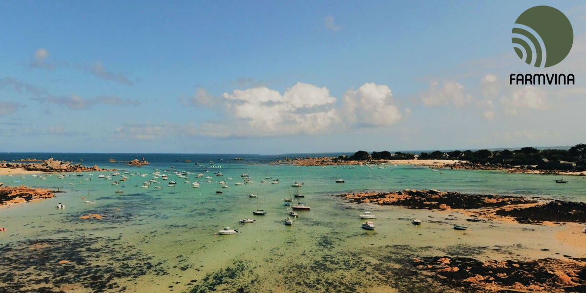 ô nhiễm môi trường