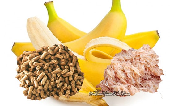 bài mồi câu cá tra