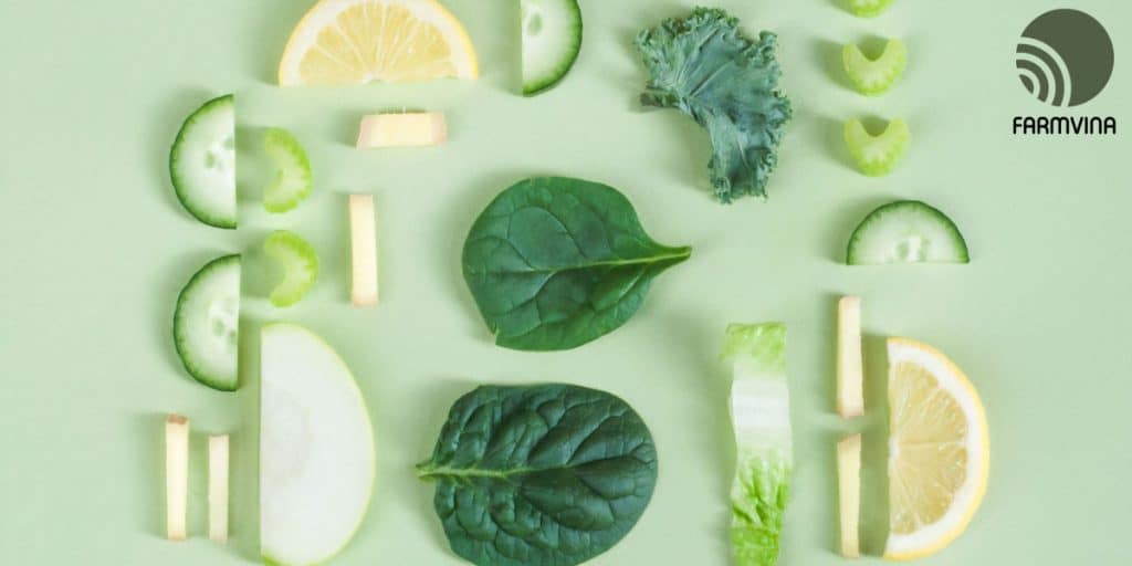 rau tiêu chuẩn GAP