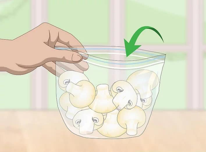 hộp bảo quản nấm