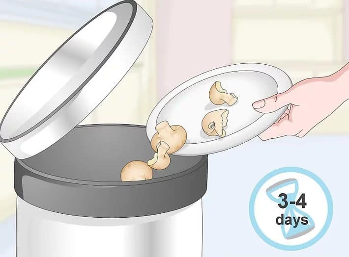 bảo quản thực phẩm