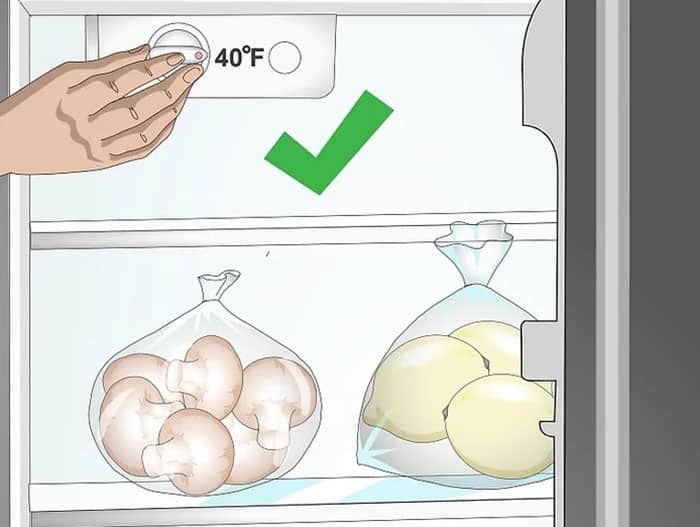 bảo quản nấm trong tủ lạnh