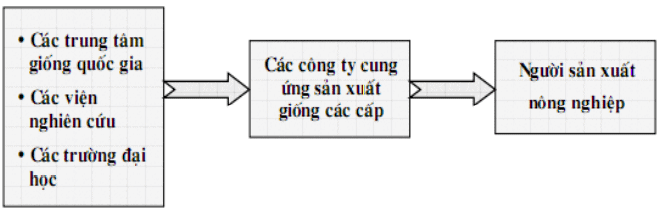 Kênh phân phối giống cây trồng vật nuôi