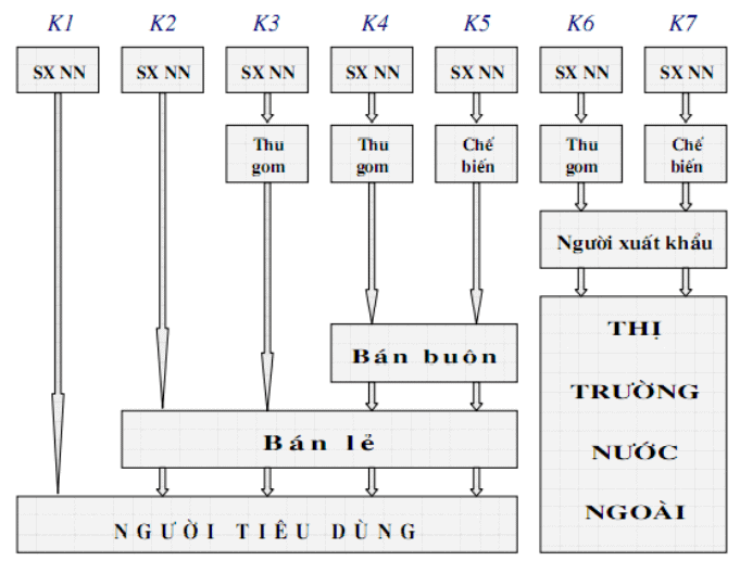 Kênh phân phối sản phẩm nông nghiệp tiêu dùng