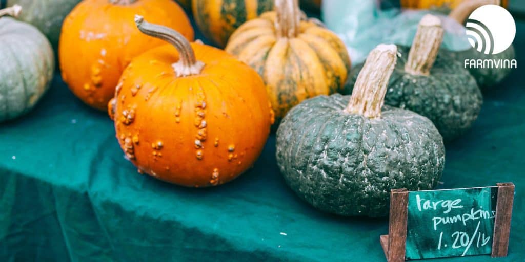 chiến lược sản phẩm