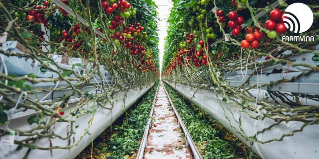 chức năng của Marketing nông nghiệp