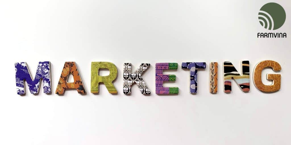 marketing hỗn hợp