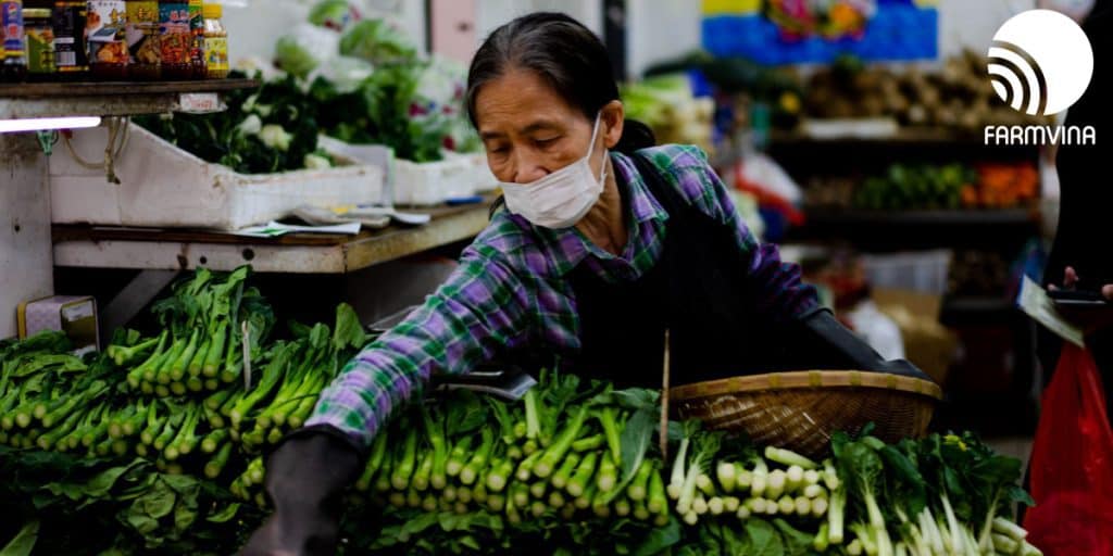 phân khúc thị trường