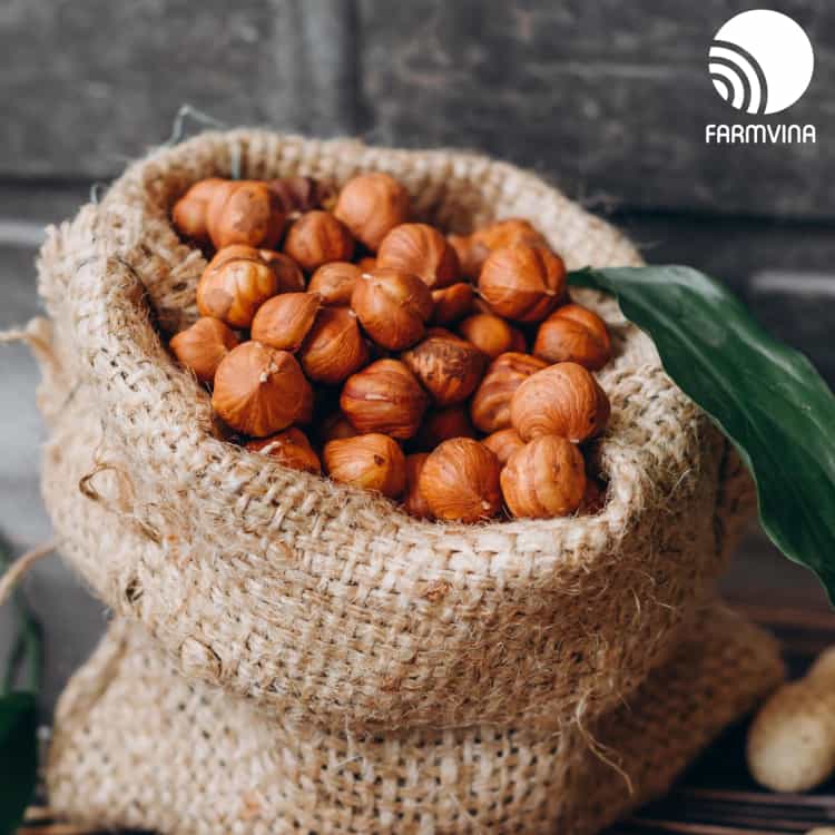 gửi mẫu cho khách