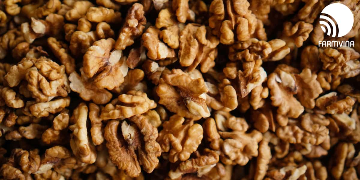 gửi mẫu cho khách