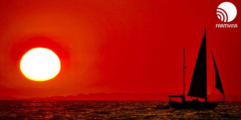 cùng ra biển lớn