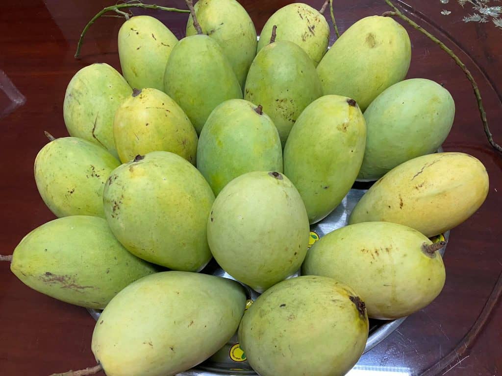 xoài cát hoà lộc