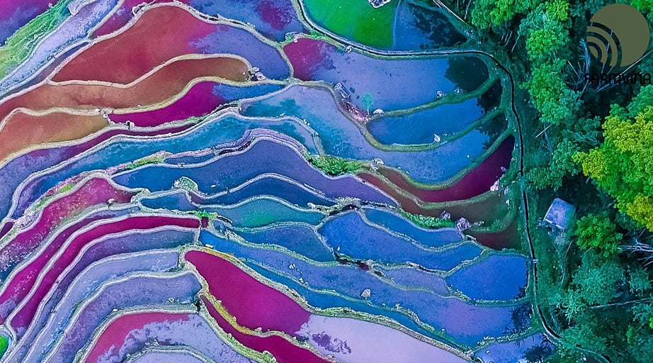 khởi nghiệp nông nghiệp