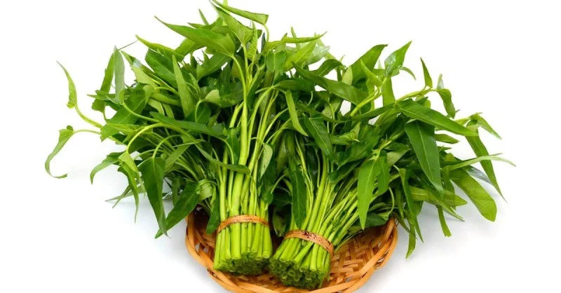 rau muống