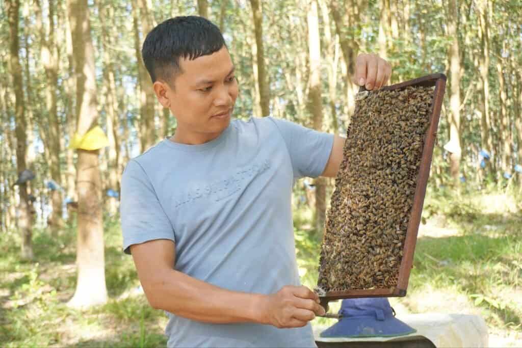 Nuôi Ong Làm Giàu