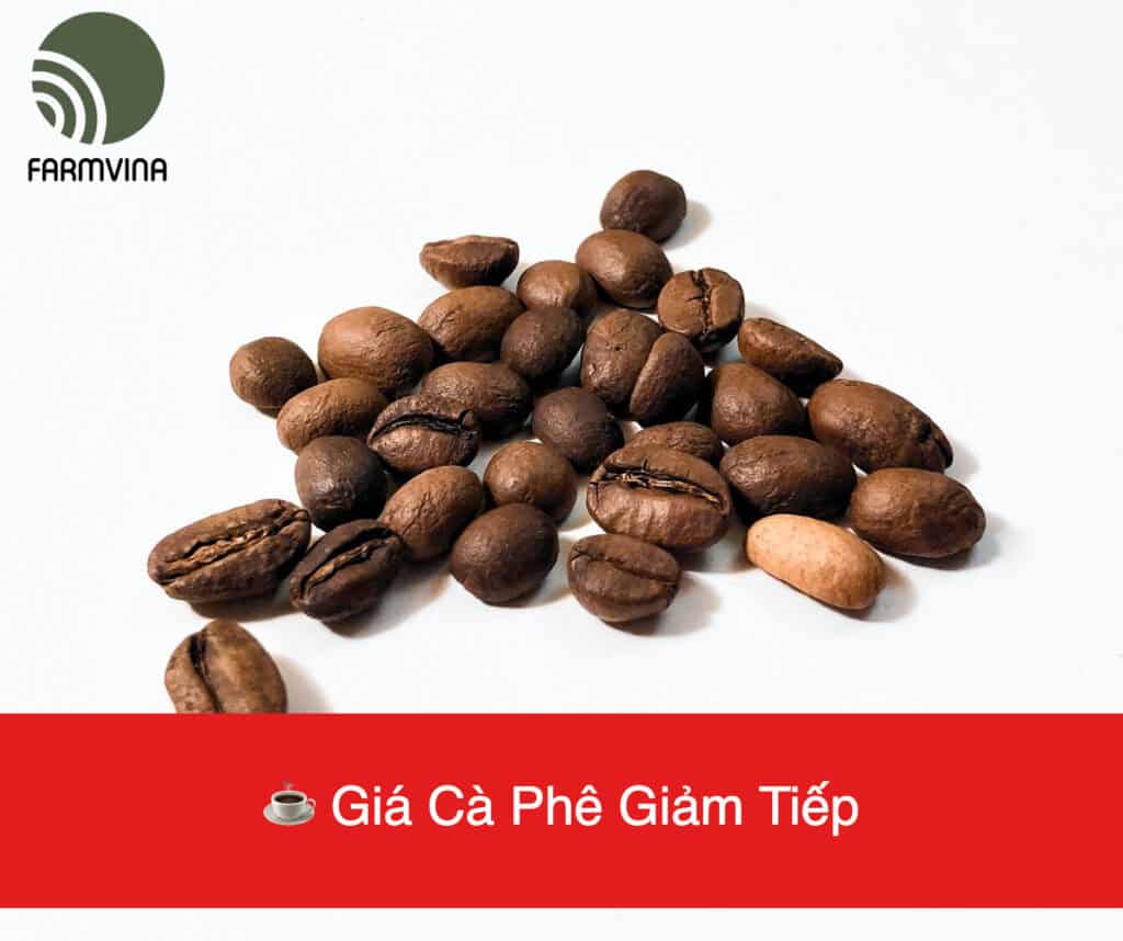 Giá Cà Phê Ngày 27/06/2024