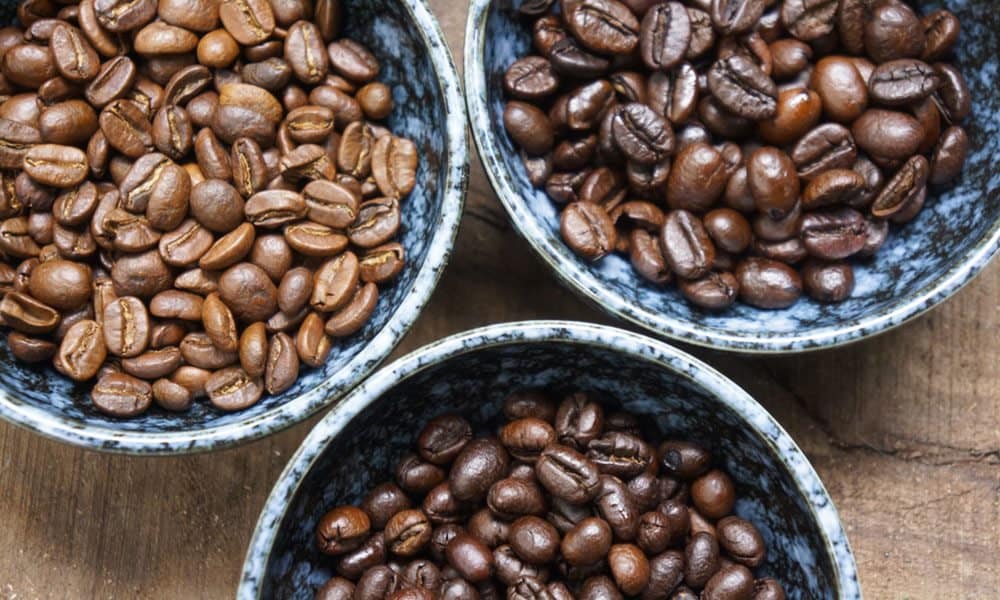 giống cà phê phổ biến tại Việt Nam