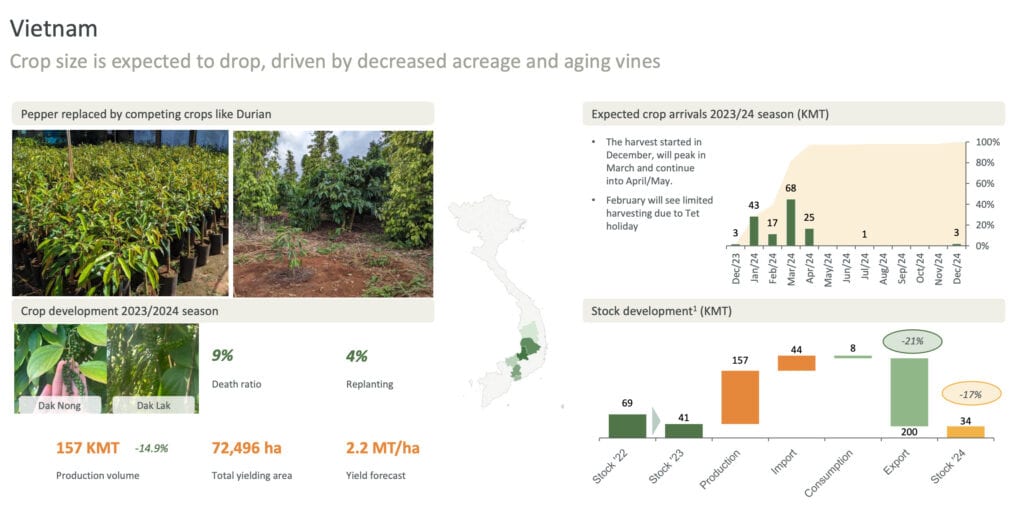 hồ tiêu Farmvina